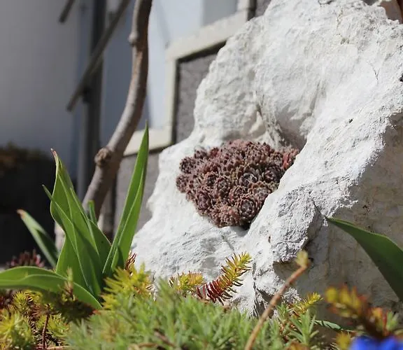 Pri Nama Διαμέρισμα *